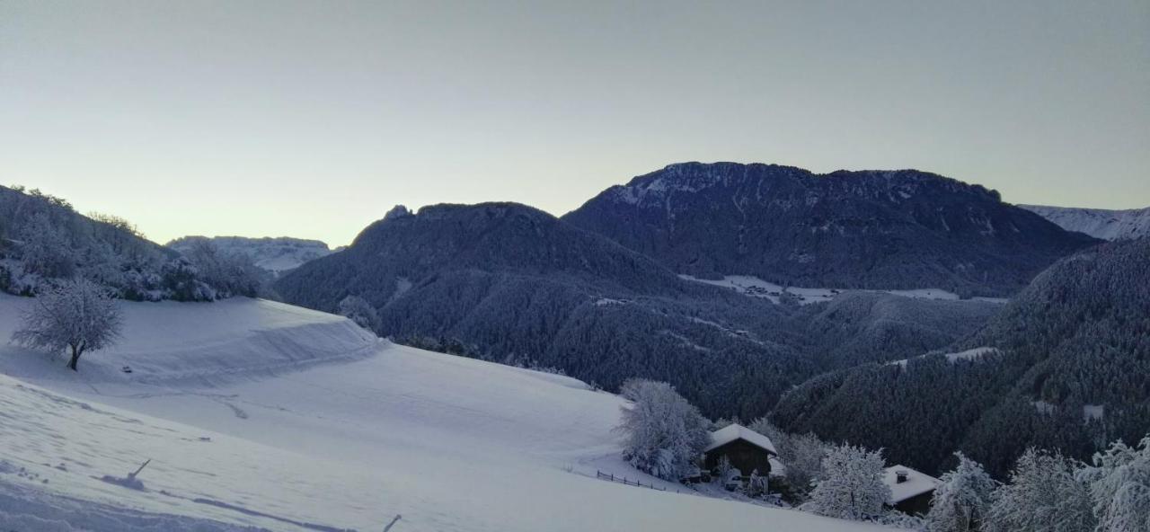 Alpine Chalet Aurora Dolomites Lajen Exterior foto